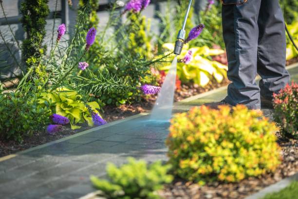 Best Post-Construction Pressure Washing  in Hillsdale, NJ